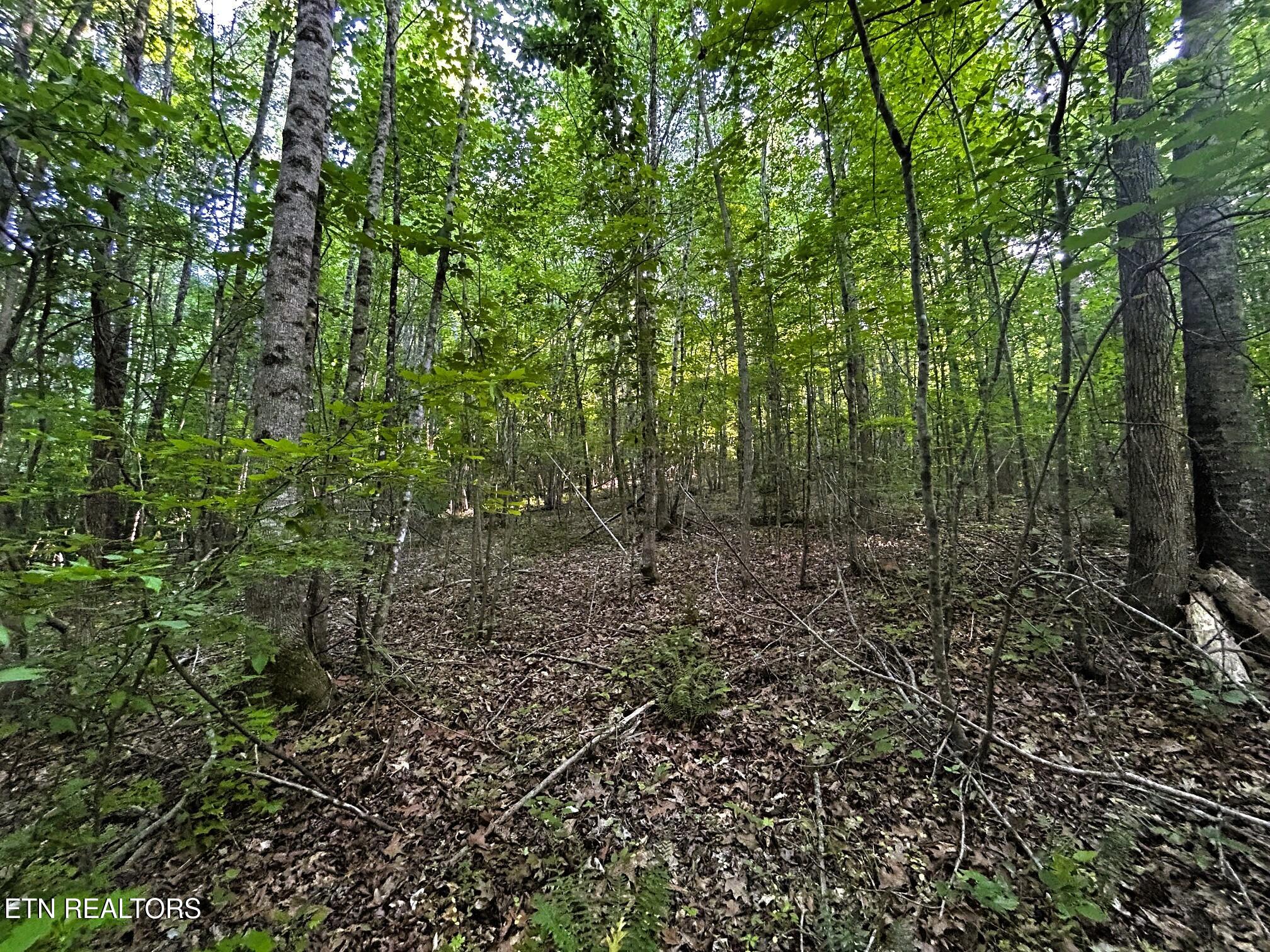 Tract 9 Pleasant Hill Road Ten Mile TN 37880