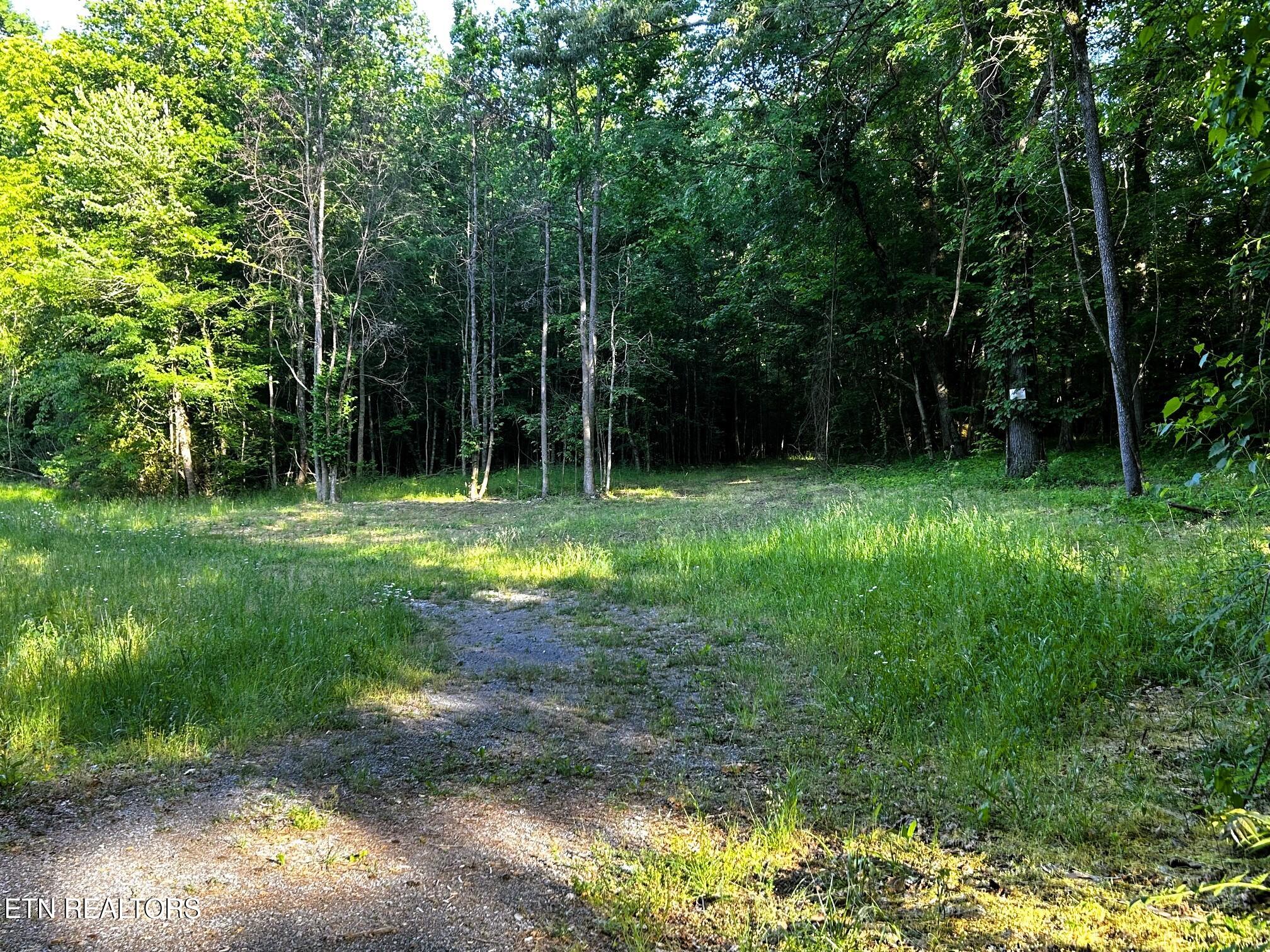 Tract 9 Pleasant Hill Road Ten Mile TN 37880