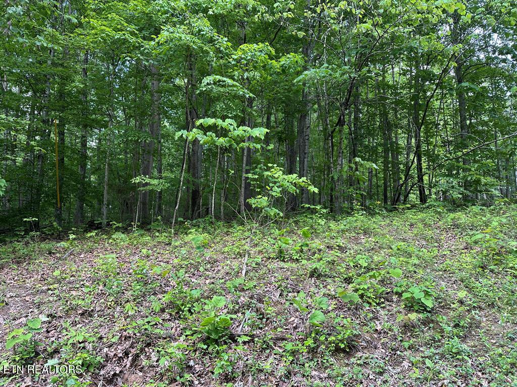 5757 Emerald Road Cookeville TN 38501