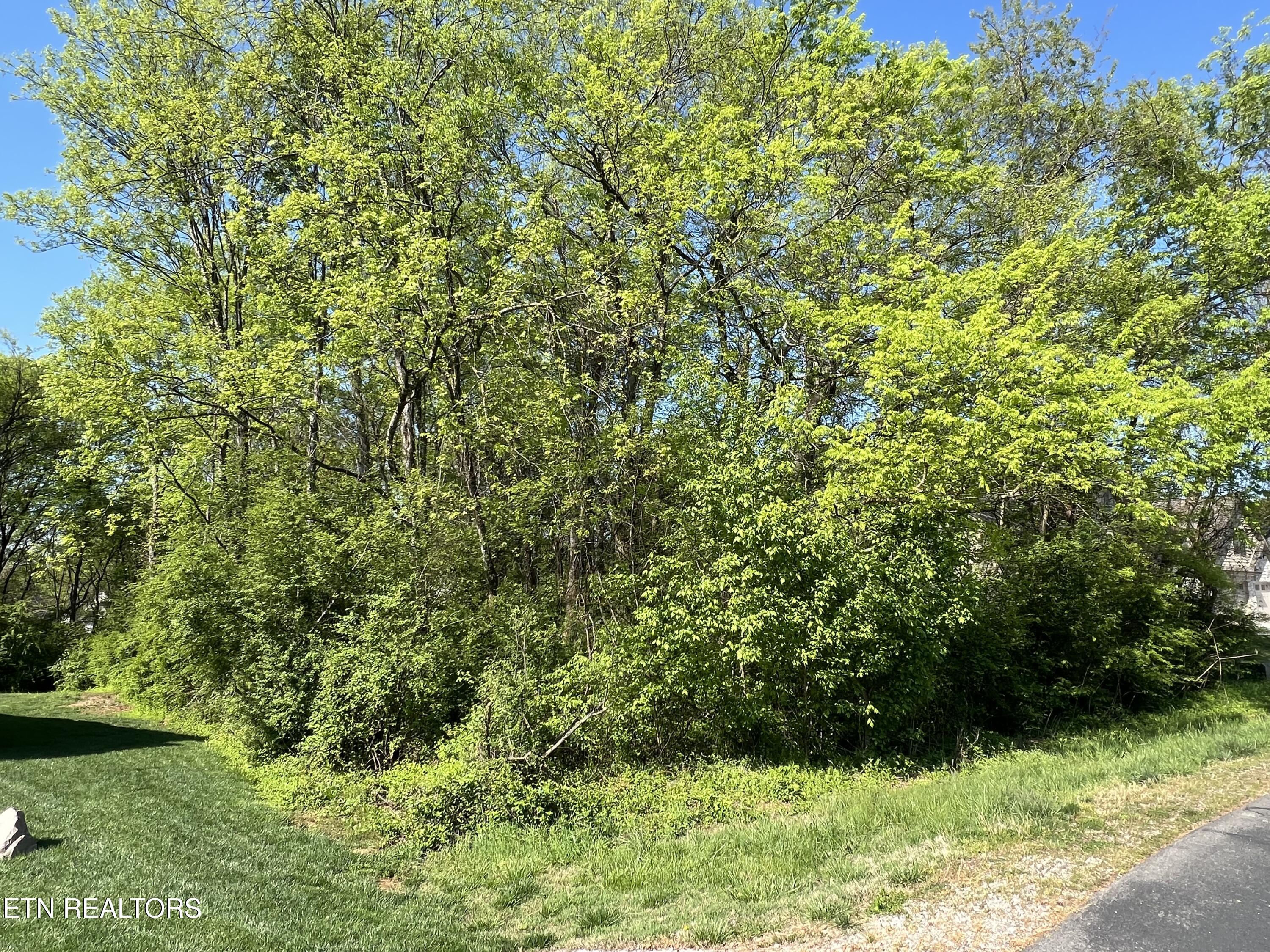 170 Utsesti Way Loudon TN 37774