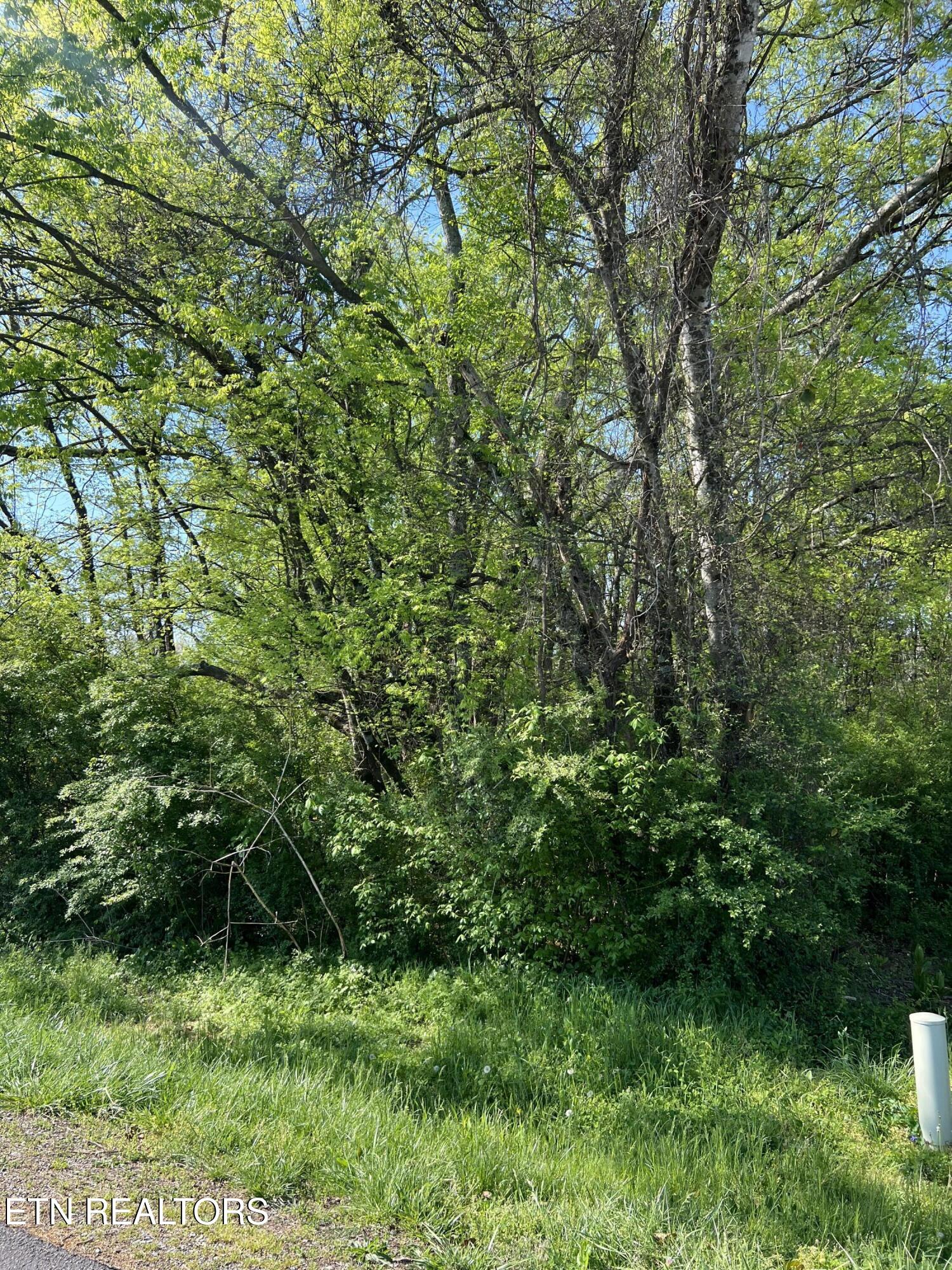 170 Utsesti Way Loudon TN 37774