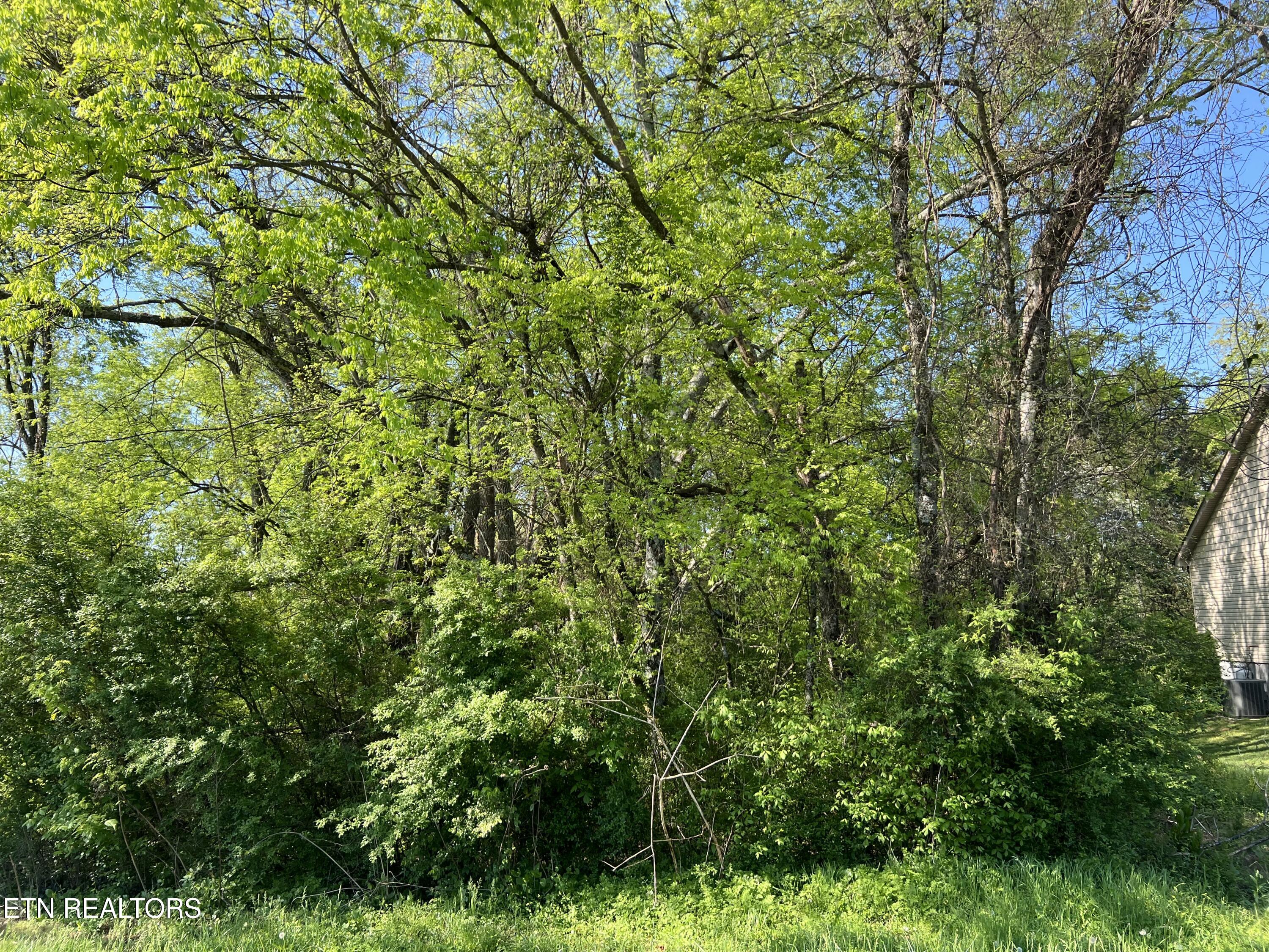 170 Utsesti Way Loudon TN 37774