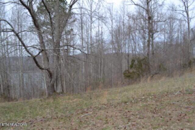 Lots 4 & 5 Fox Hill Road Baxter TN 38544
