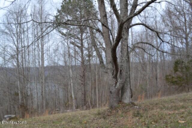 Lots 4 & 5 Fox Hill Road Baxter TN 38544