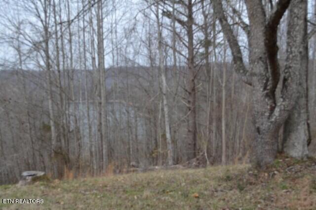 Lots 4 & 5 Fox Hill Road Baxter TN 38544