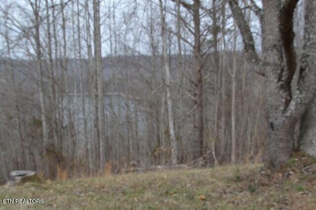 Lots 4 & 5 Fox Hill Road Baxter TN 38544