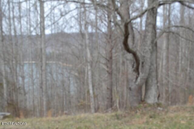 Lots 4 & 5 Fox Hill Road Baxter TN 38544