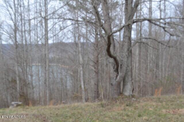 Lots 4 & 5 Fox Hill Road Baxter TN 38544