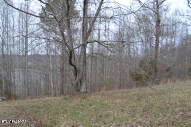 Lots 4 & 5 Fox Hill Road Baxter TN 38544