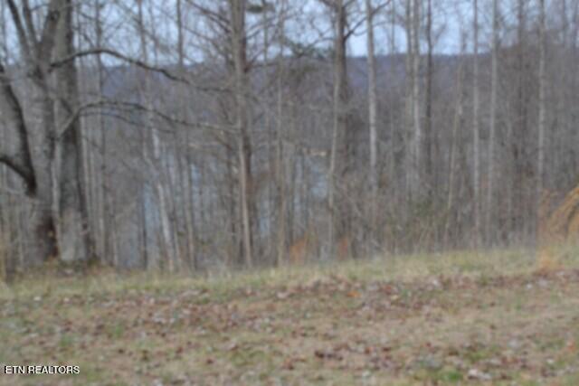 Lots 4 & 5 Fox Hill Road Baxter TN 38544