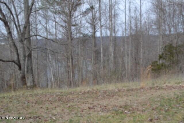 Lots 4 & 5 Fox Hill Road Baxter TN 38544