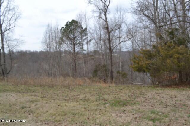 Lots 4 & 5 Fox Hill Road Baxter TN 38544