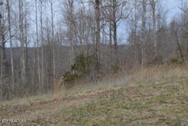 Lots 4 & 5 Fox Hill Road Baxter TN 38544