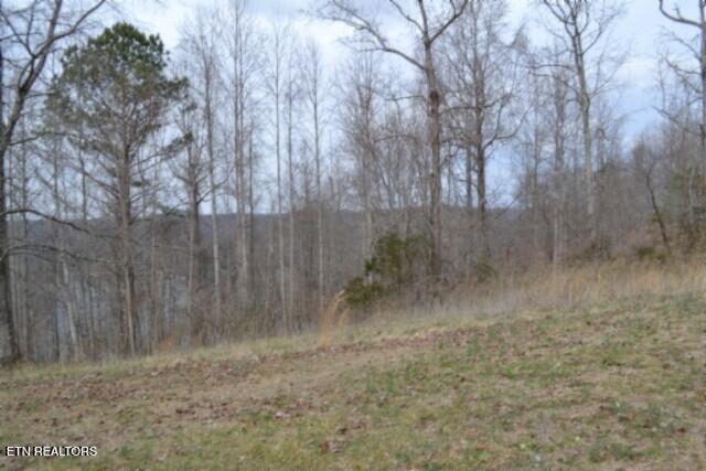 Lots 4 & 5 Fox Hill Road Baxter TN 38544