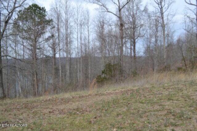 Lots 4 & 5 Fox Hill Road Baxter TN 38544