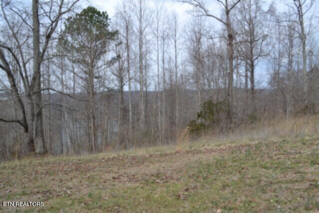 Lots 4 & 5 Fox Hill Road Baxter TN 38544
