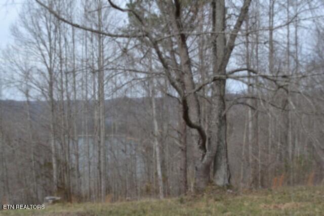Lots 4 & 5 Fox Hill Road Baxter TN 38544