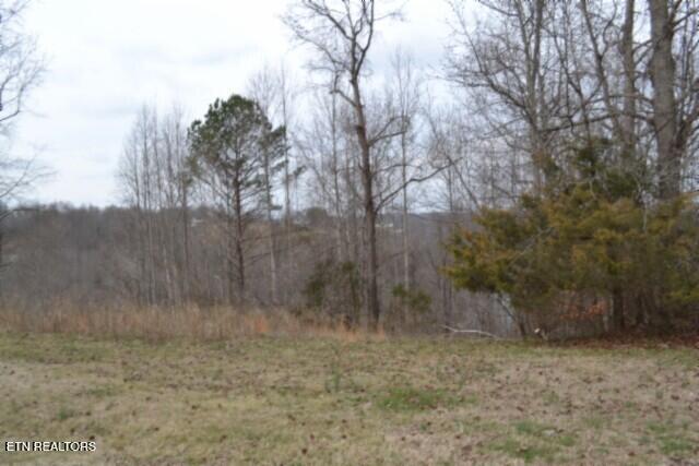Lots 4 & 5 Fox Hill Road Baxter TN 38544