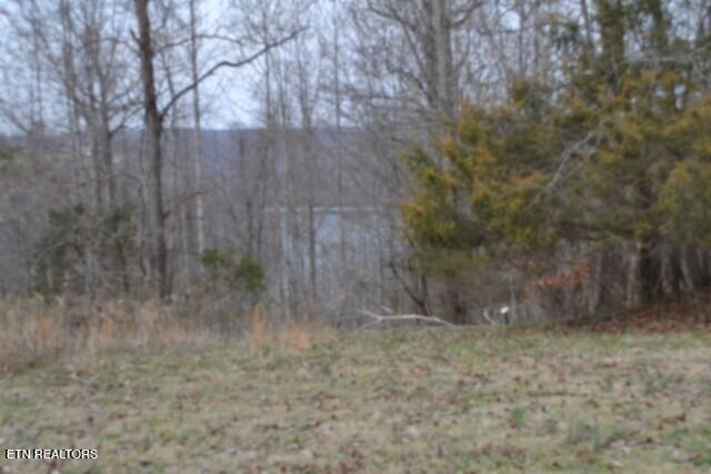 Lots 4 & 5 Fox Hill Road Baxter TN 38544