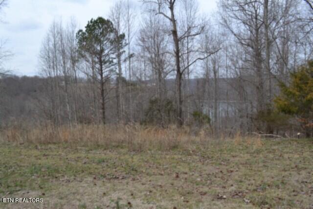 Lots 4 & 5 Fox Hill Road Baxter TN 38544