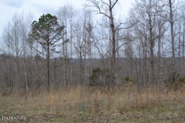 Lots 4 & 5 Fox Hill Road Baxter TN 38544