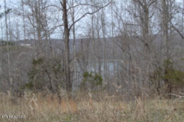 Lots 4 & 5 Fox Hill Road Baxter TN 38544