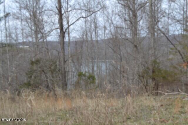 Lots 4 & 5 Fox Hill Road Baxter TN 38544
