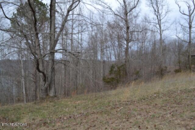 Lots 4 & 5 Fox Hill Road Baxter TN 38544