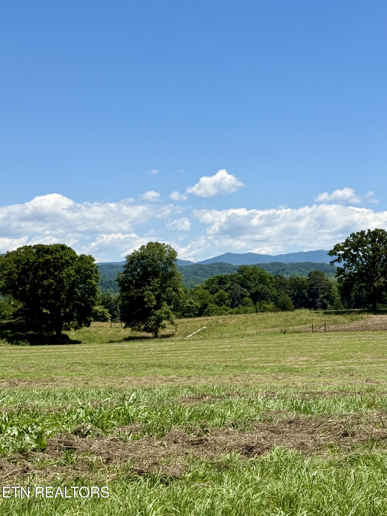 880 & 890 Fairview Road Tellico Plains TN 37385