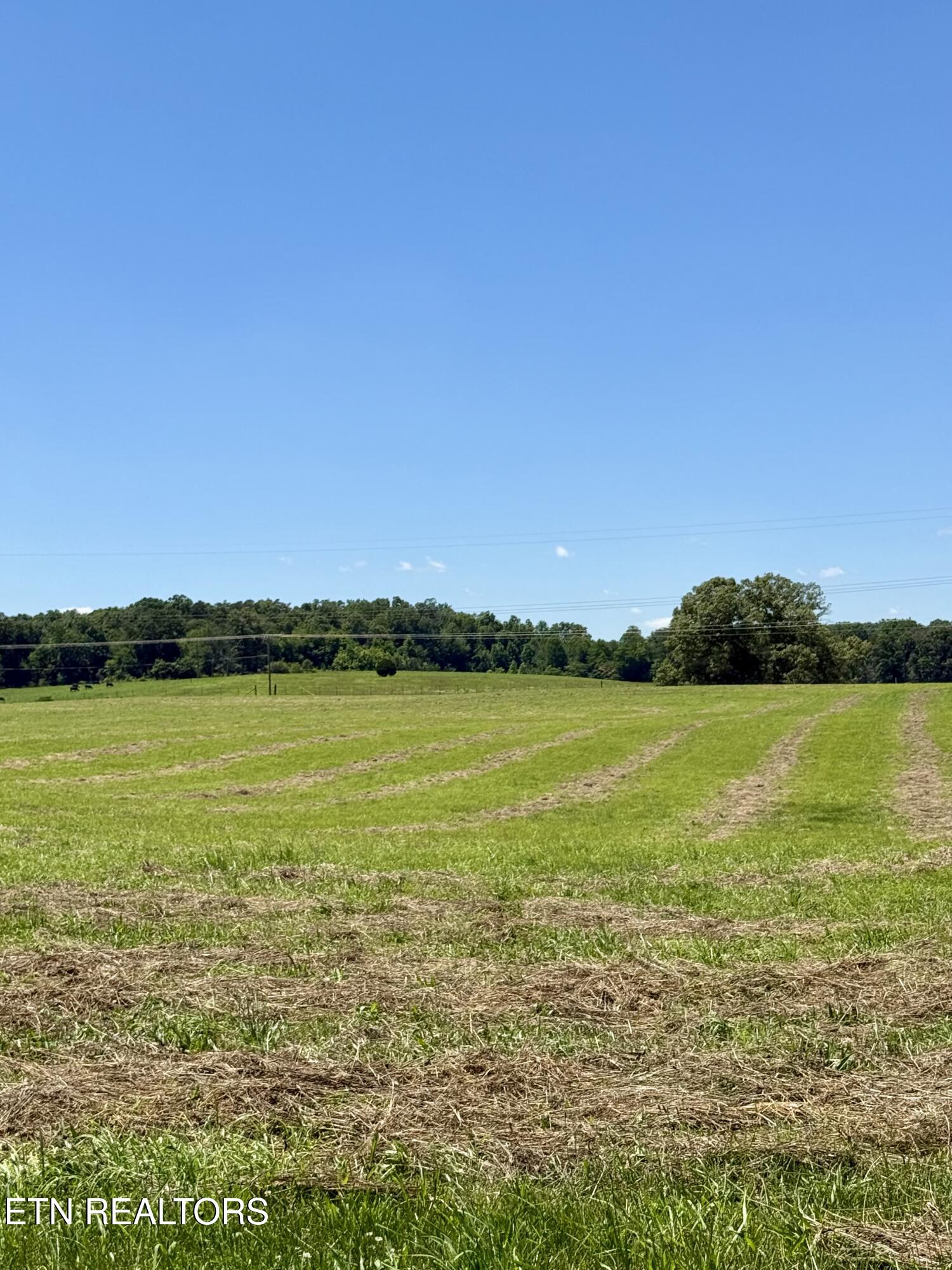 880 & 890 Fairview Road Tellico Plains TN 37385