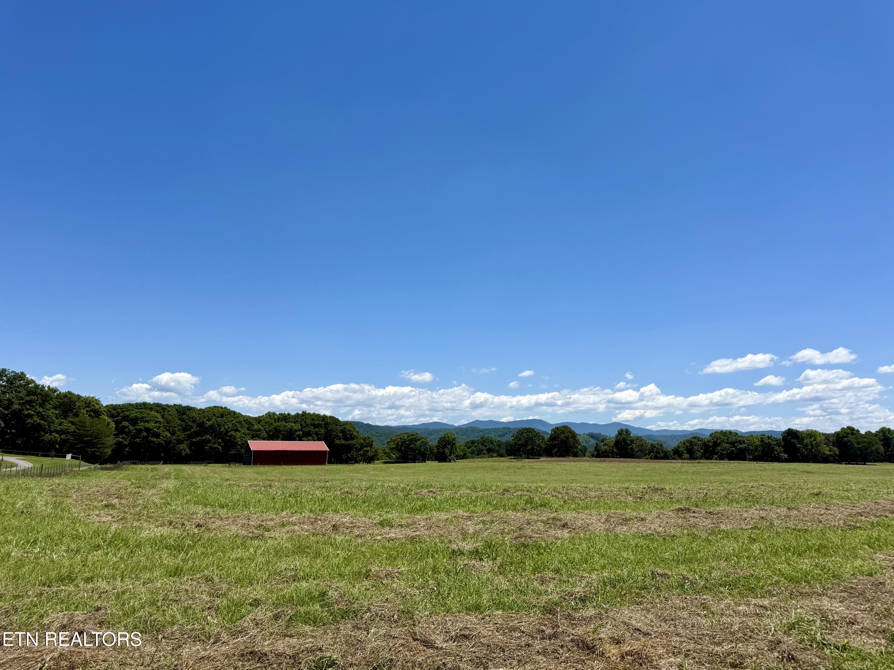 880 & 890 Fairview Road Tellico Plains TN 37385