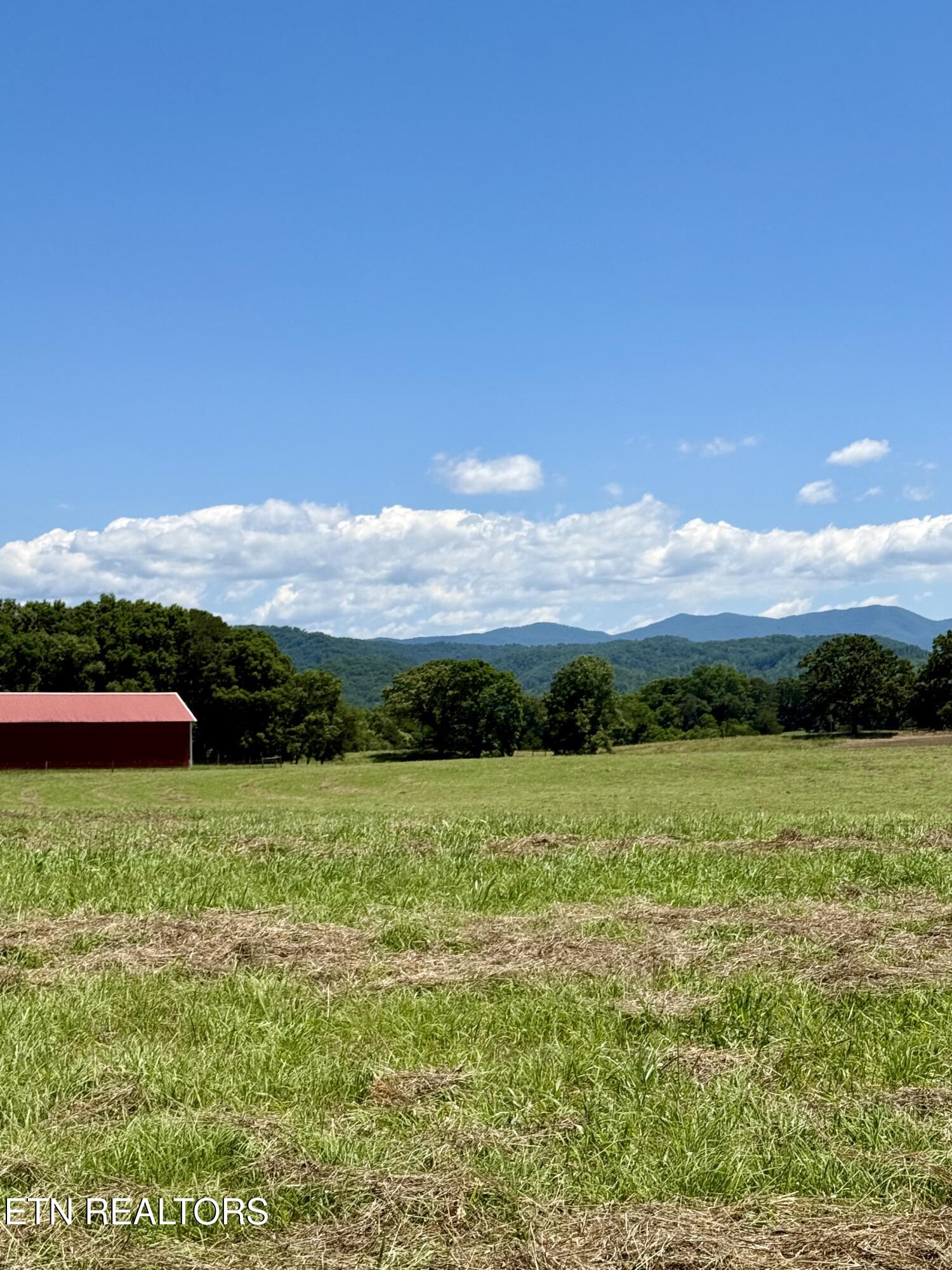 880 & 890 Fairview Road Tellico Plains TN 37385