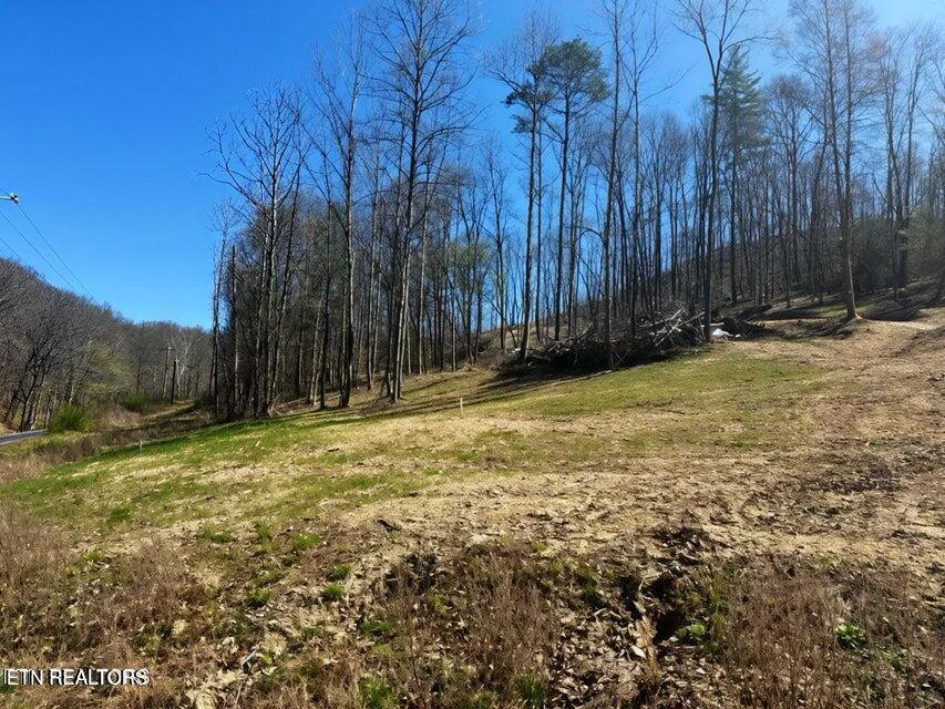 Demory Road Lafollette TN 37766