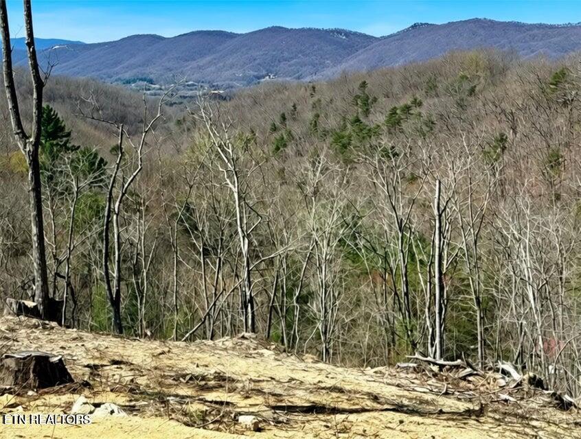 Demory Road Lafollette TN 37766