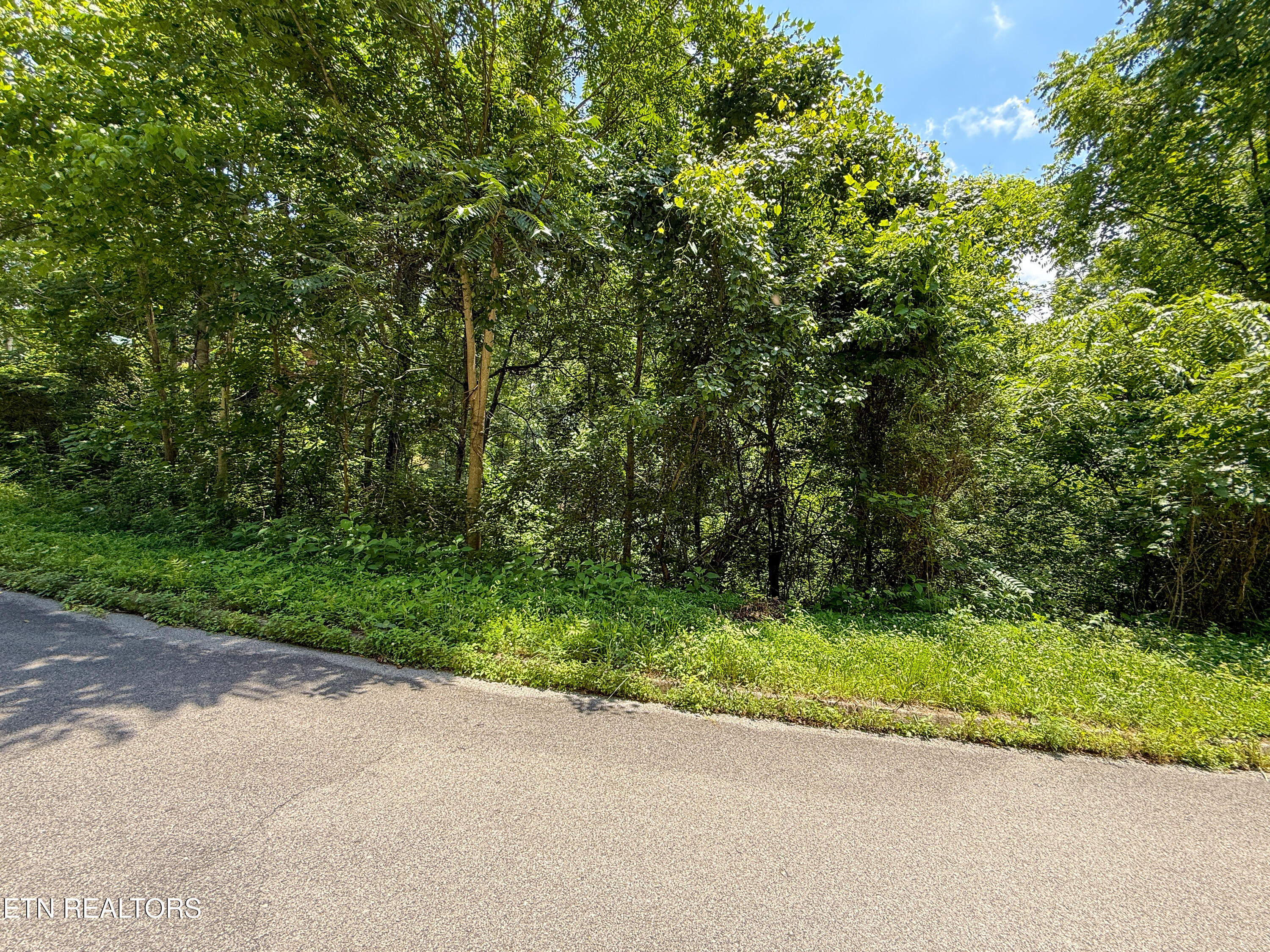 Lot 55 Oak Lake Drive Sevierville TN 37876