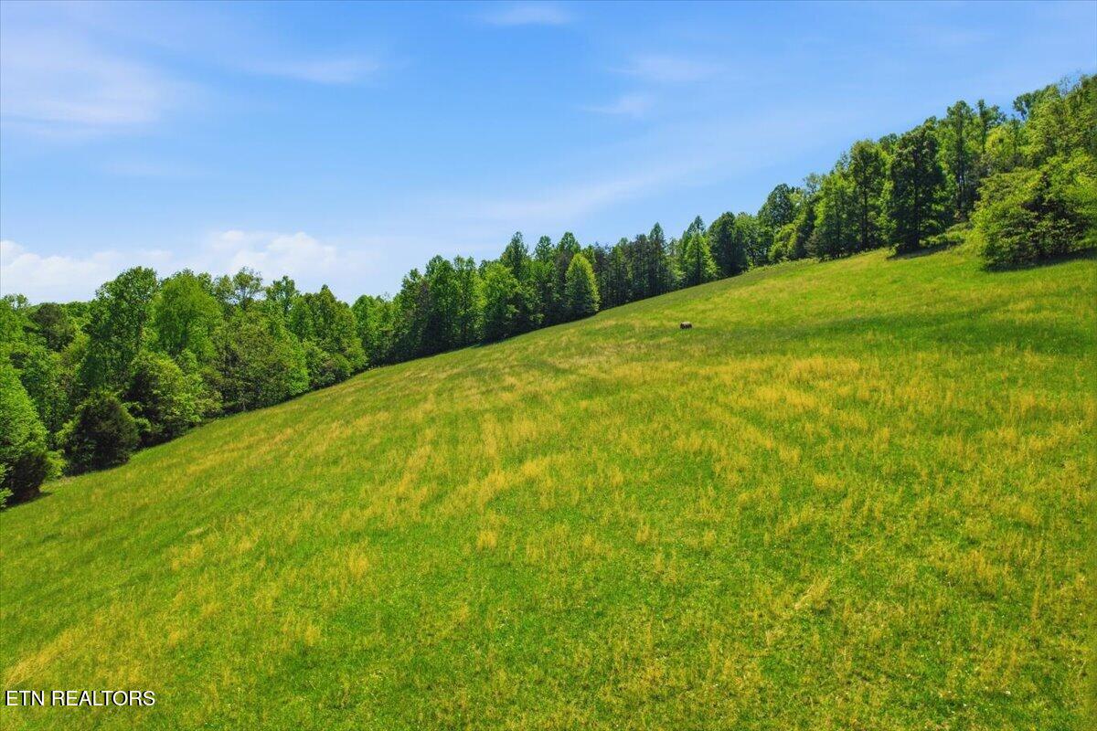 1279 Clinch River Road Tazewell TN 37879
