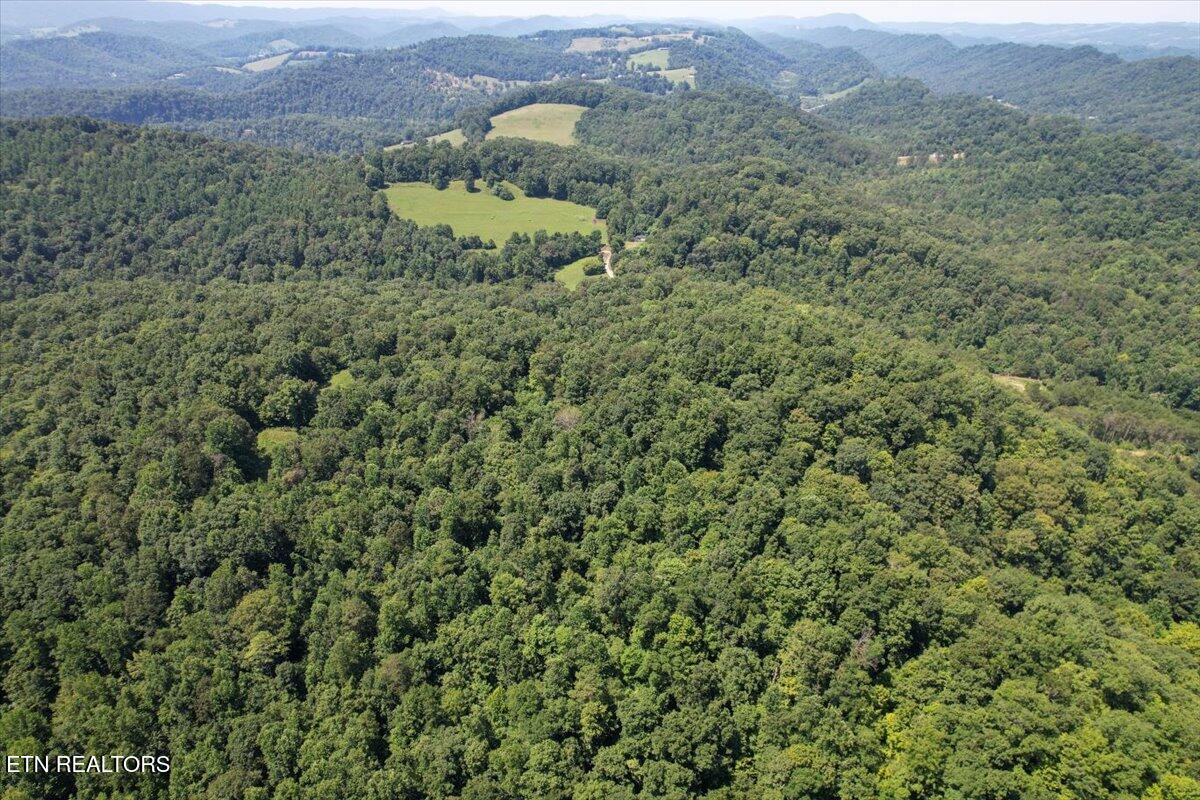 1279 Clinch River Road Tazewell TN 37879