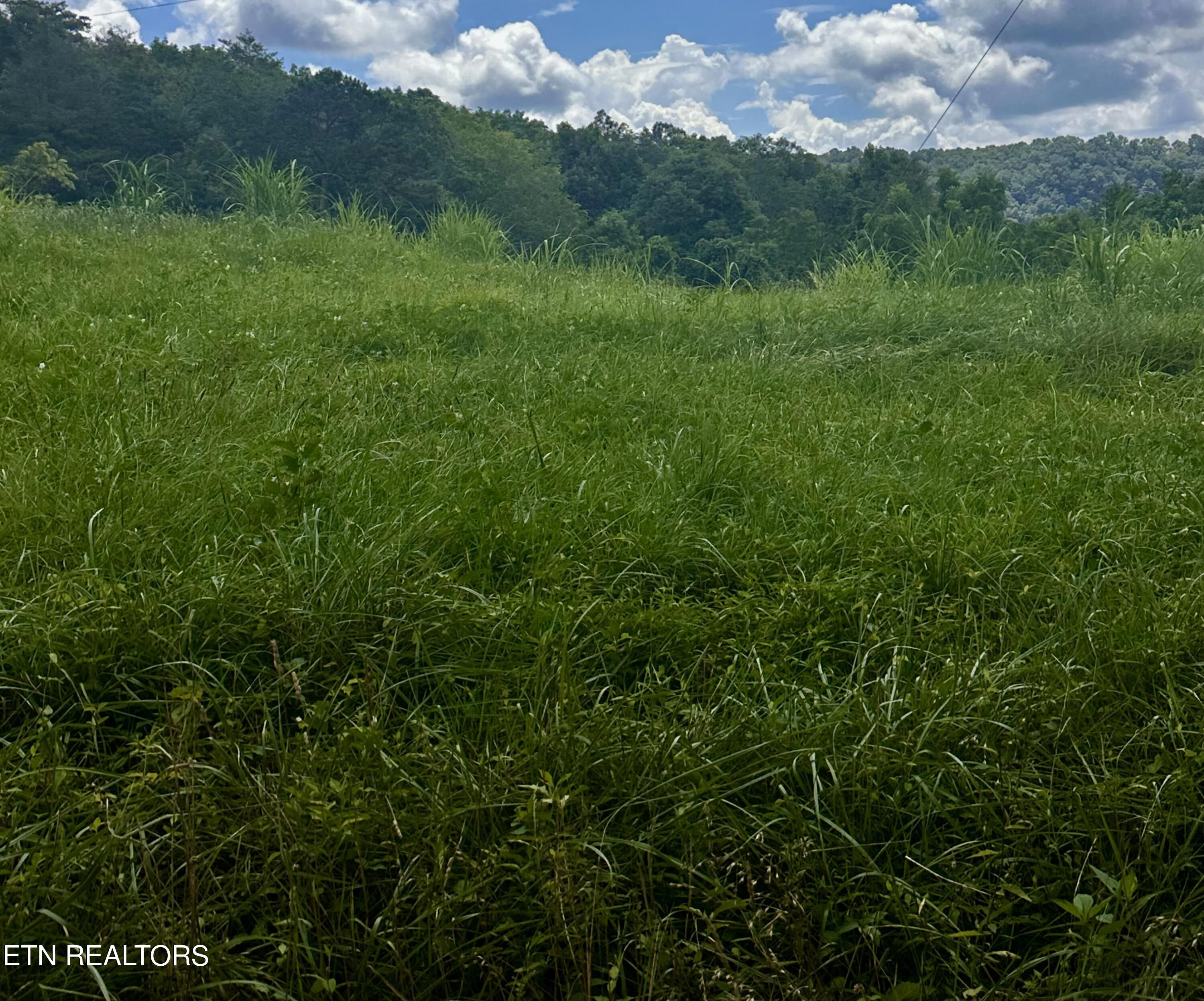 1279 Clinch River Road Tazewell TN 37879