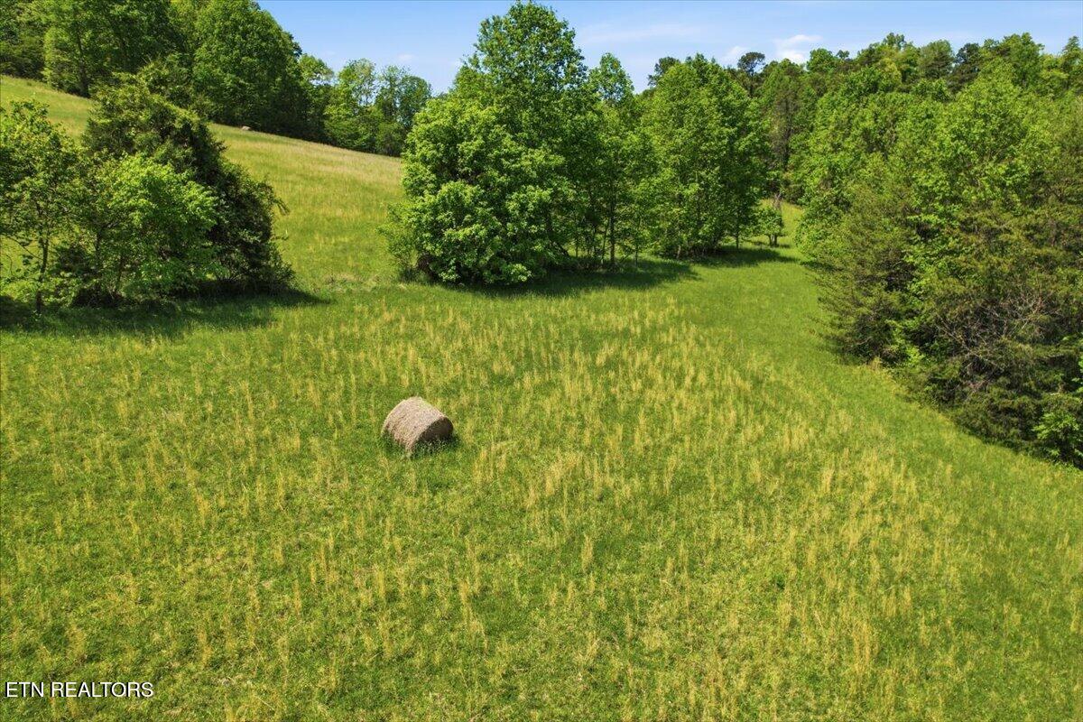 1279 Clinch River Road Tazewell TN 37879