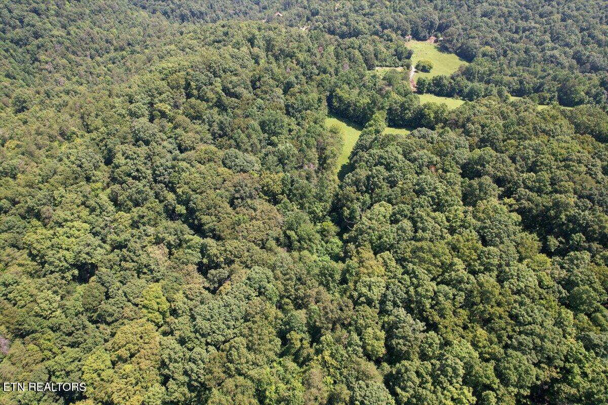 1279 Clinch River Road Tazewell TN 37879