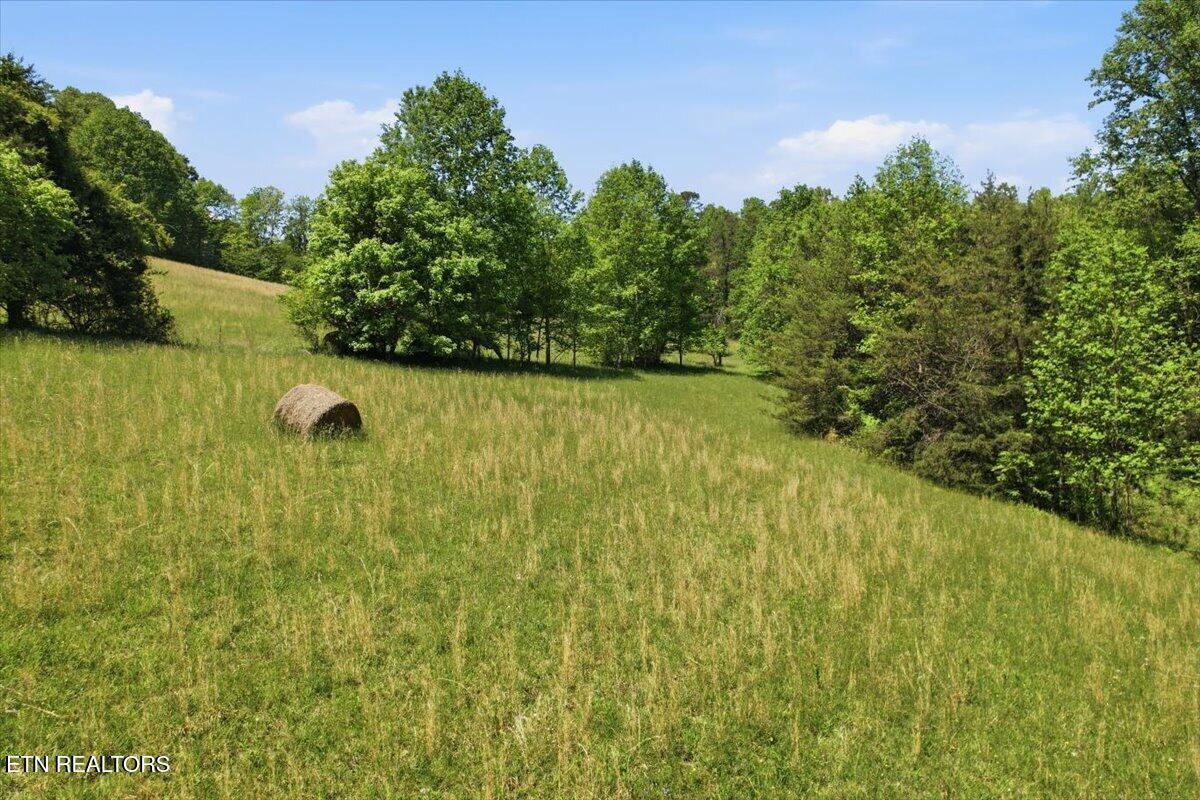 1279 Clinch River Road Tazewell TN 37879