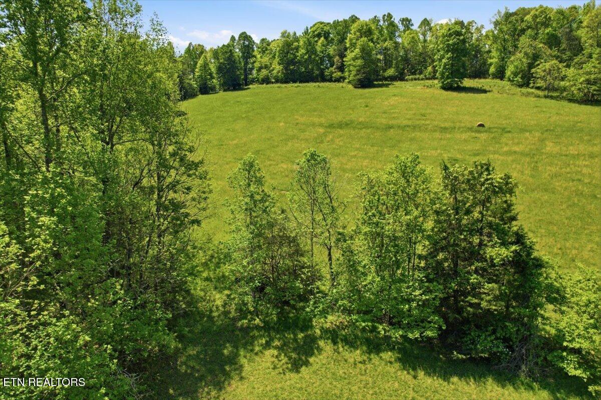 1279 Clinch River Road Tazewell TN 37879