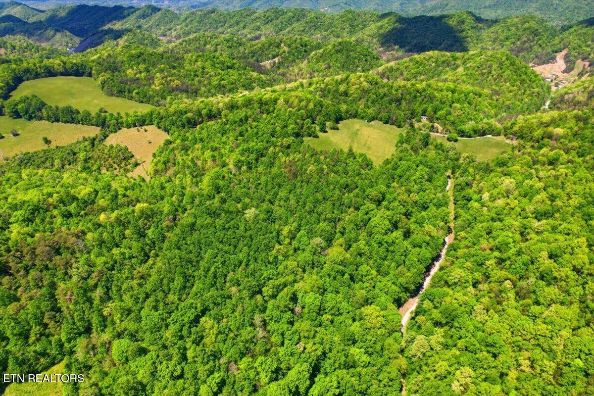 1279 Clinch River Road Tazewell TN 37879
