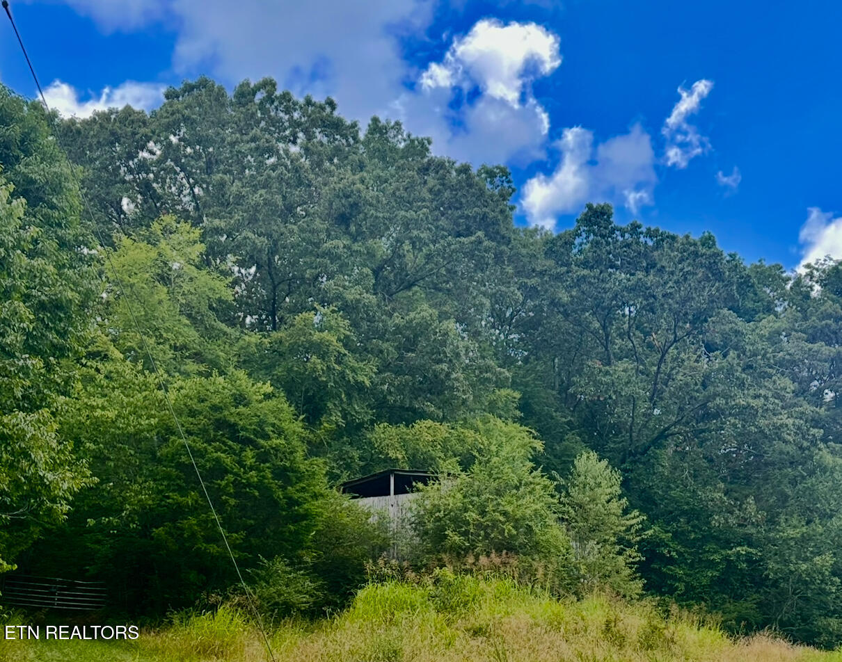 1279 Clinch River Road Tazewell TN 37879
