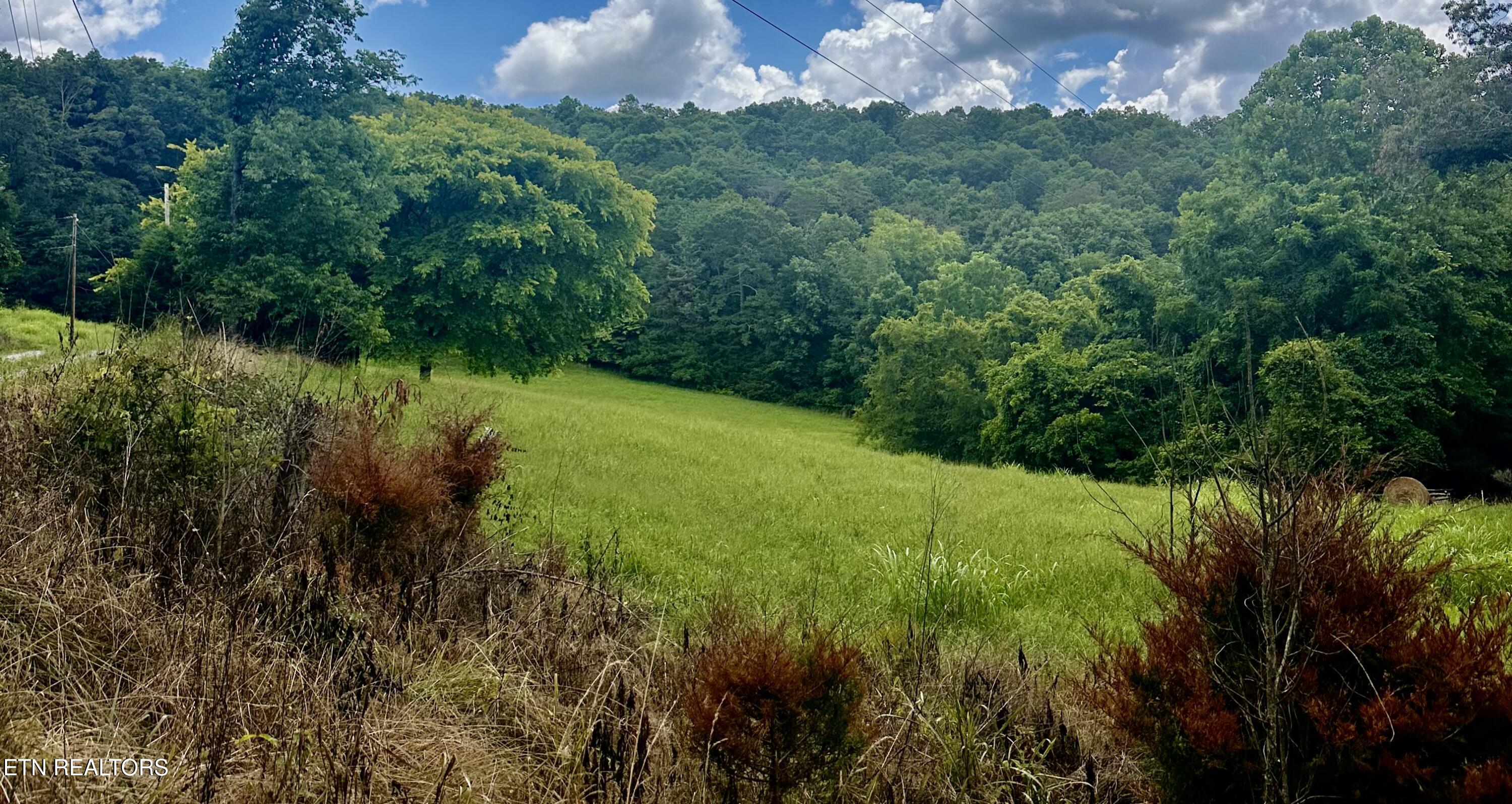 1279 Clinch River Road Tazewell TN 37879
