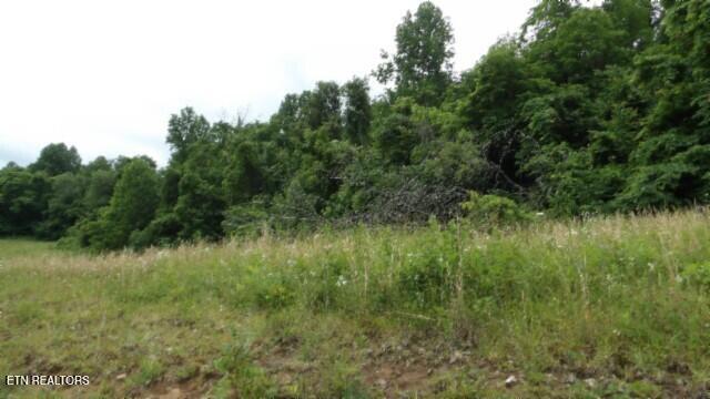 51.30AC Livingston Highway Byrdstown TN 38549
