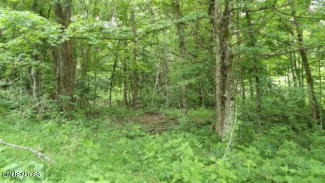 51.30AC Livingston Highway Byrdstown TN 38549