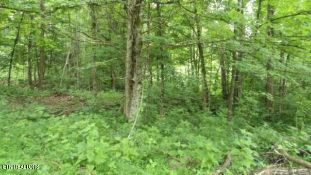 51.30AC Livingston Highway Byrdstown TN 38549