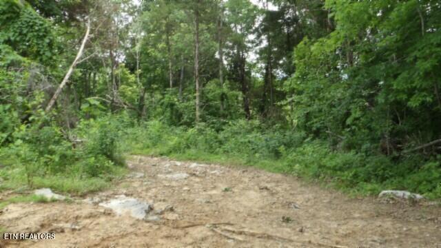 51.30AC Livingston Highway Byrdstown TN 38549