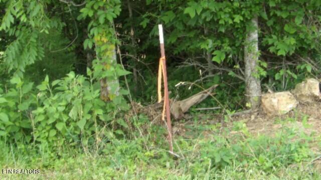 51.30AC Livingston Highway Byrdstown TN 38549
